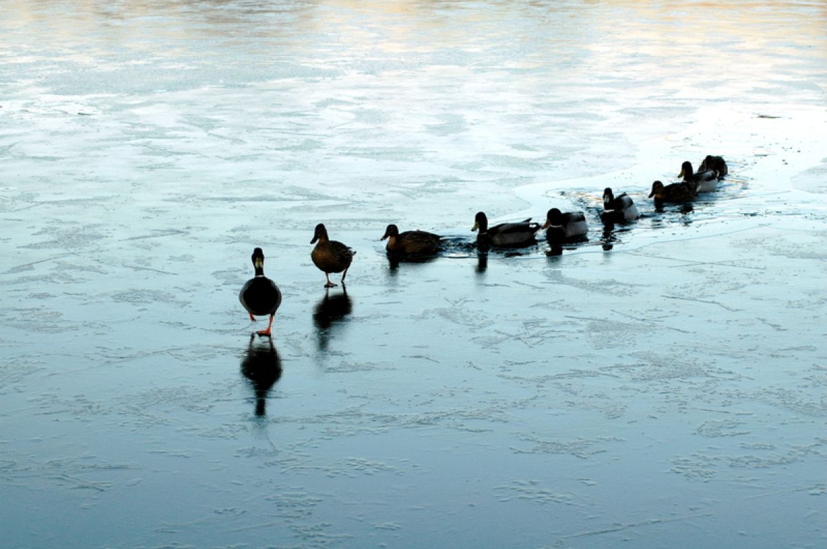  Servant Leadership