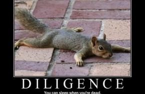  Lettering Your Vehicle