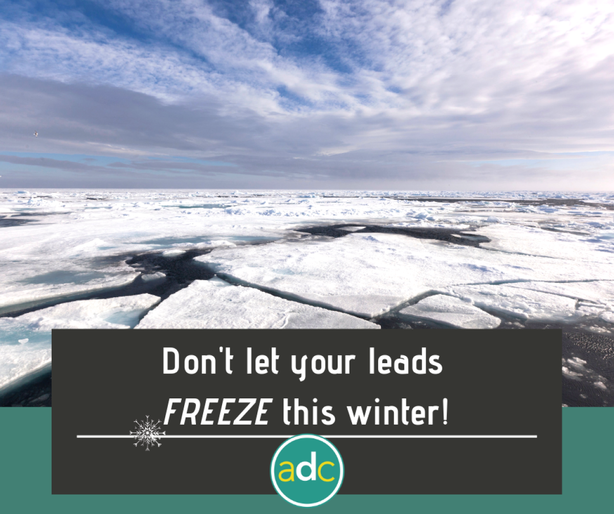  Don’t Let Your Leads Freeze This Winter!